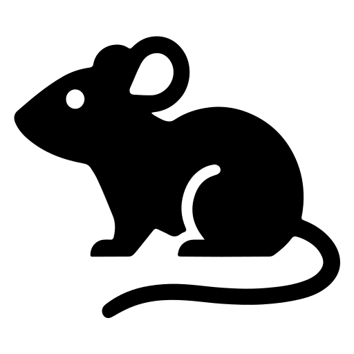 Rata